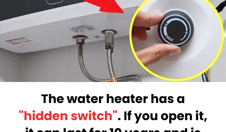 When using a water heater, just knowing how to activate this function will help the heater last longer