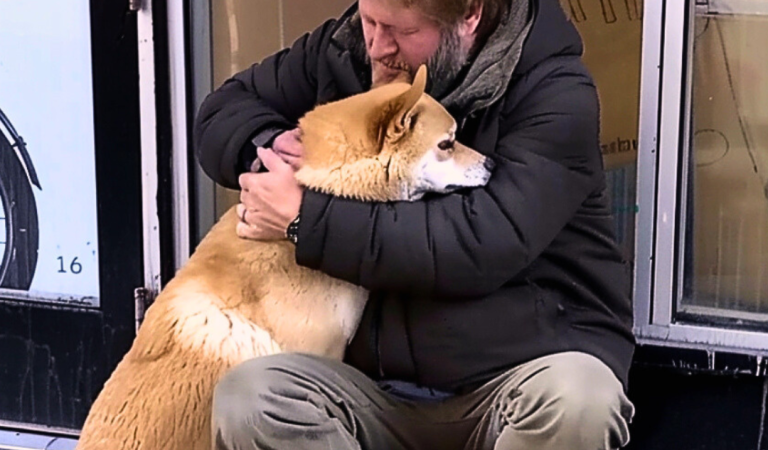 An Abandoned Dog Came To The Same Closed Store Every Day