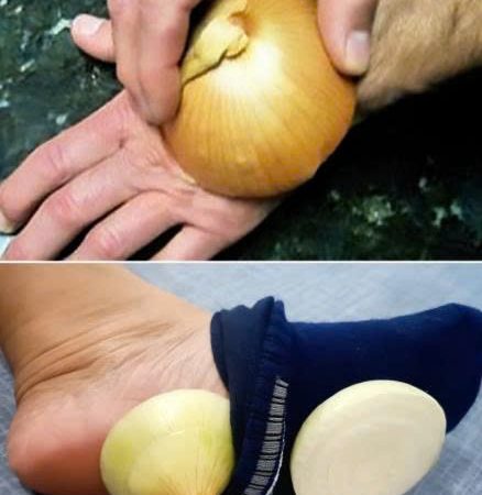 8 ingenious ways to make the most of onions in your home!